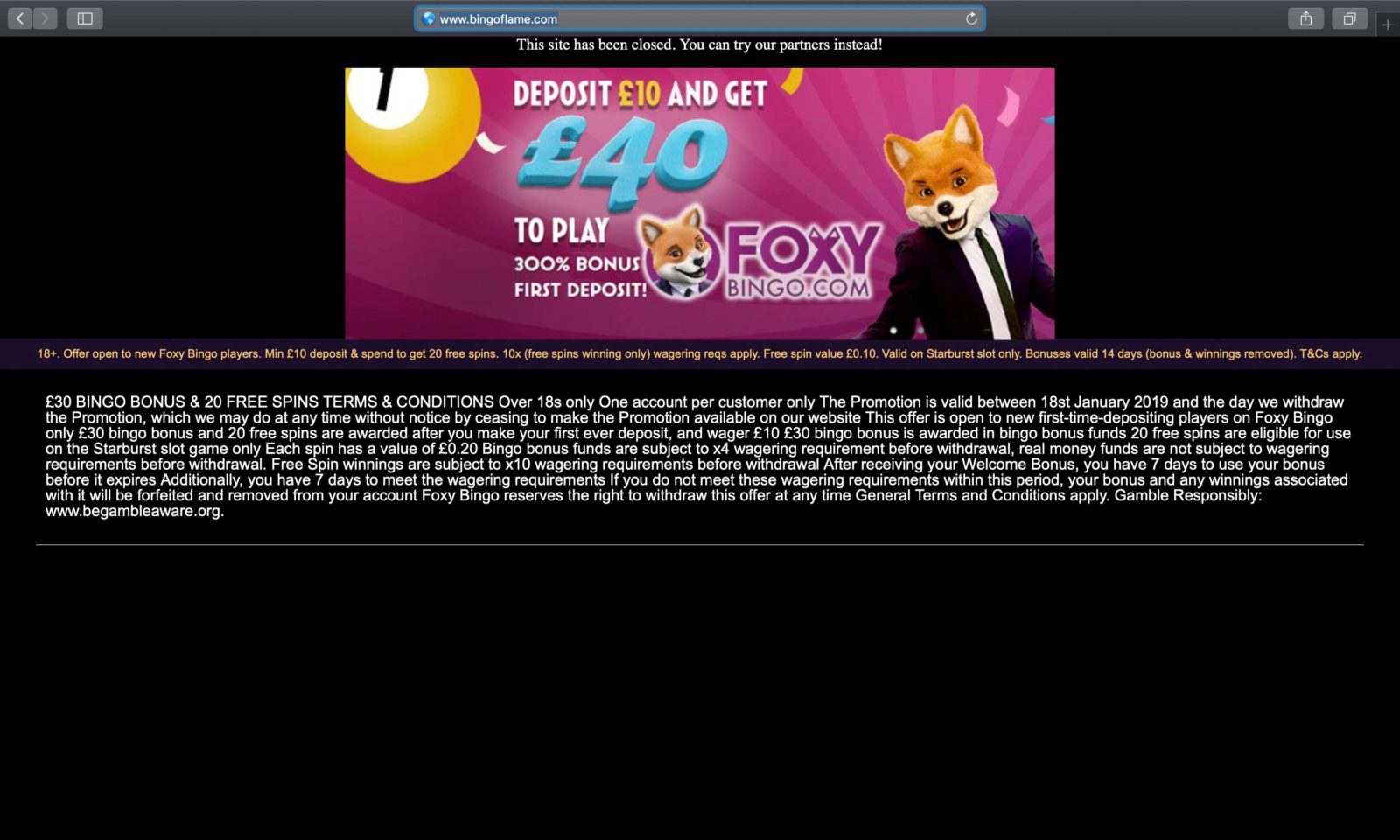 Screenshot of bingoflame.com