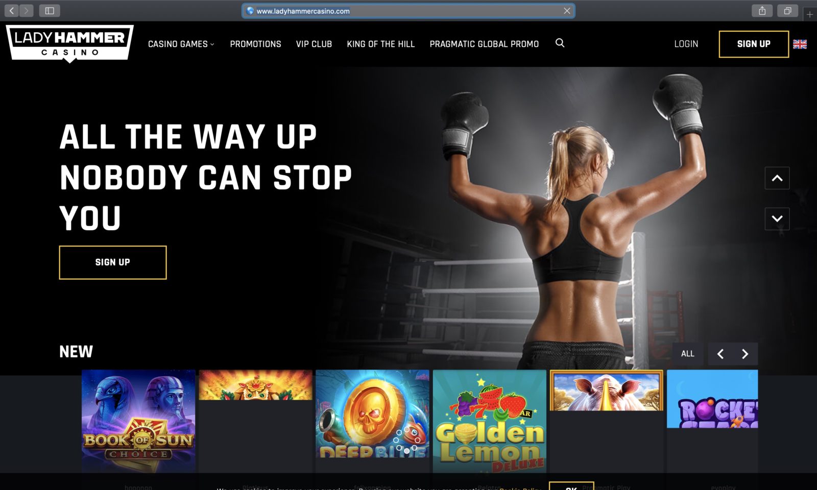 Screenshot of ladyhammercasino.com