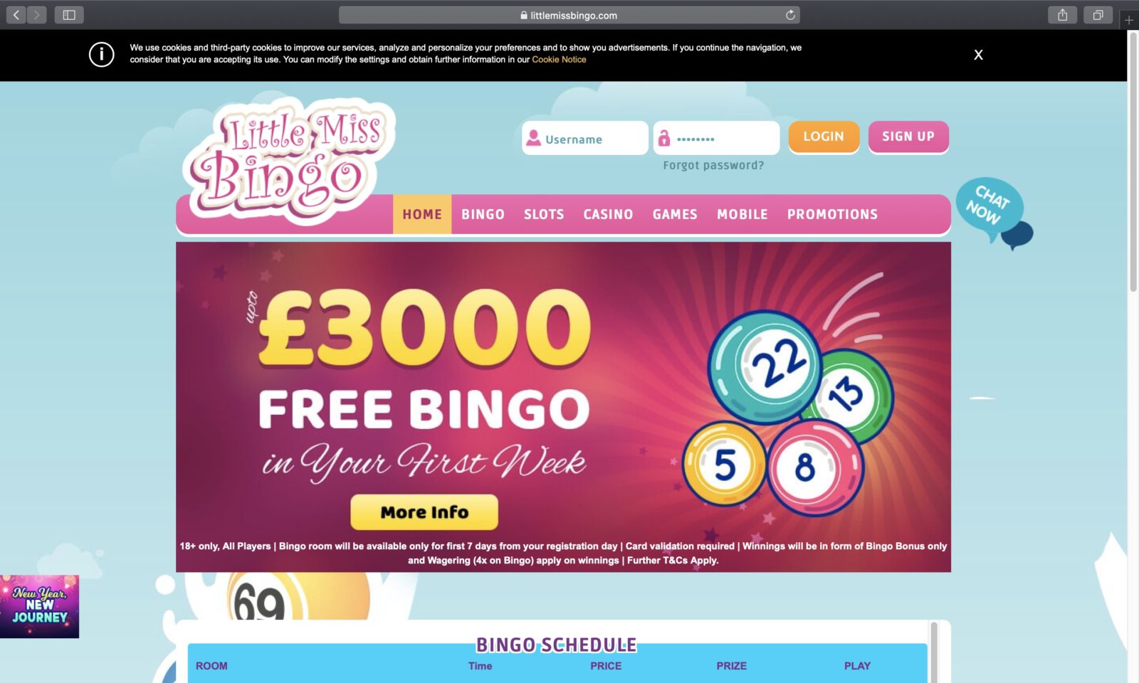 Screenshot of littlemissbingo.com