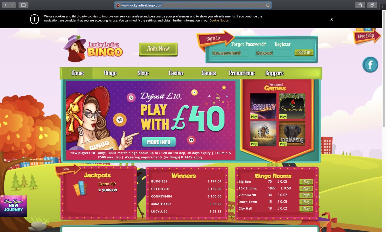 Screenshot of luckyladiesbingo.com