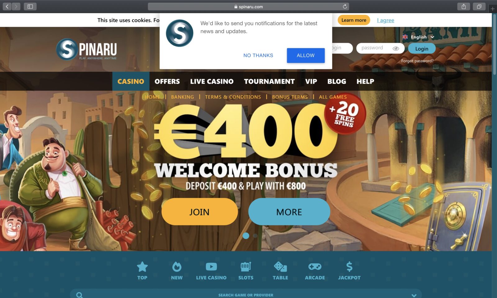 Screenshot of spinaru.com