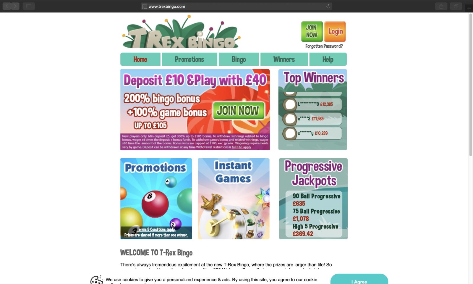 Screenshot of trexbingo.com