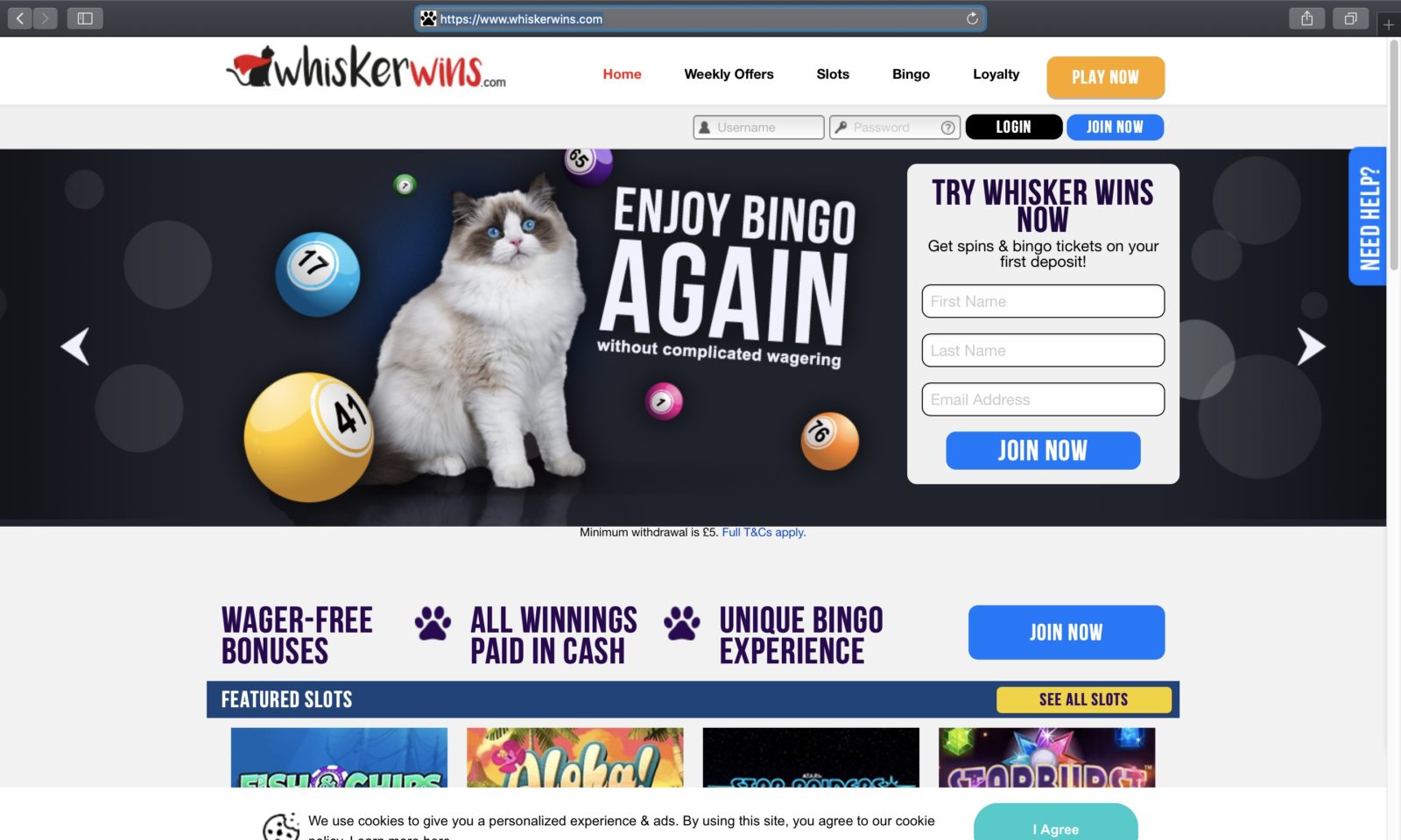 Screenshot of whiskerwins.com