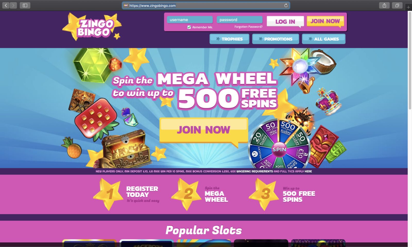 Screenshot of zingobingo.com