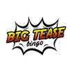 Big Tease Bingo Logo