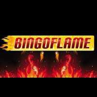 Bingo Flame Logo