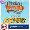 Monkey Bingo Logo