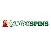 Zinger Spins Logo