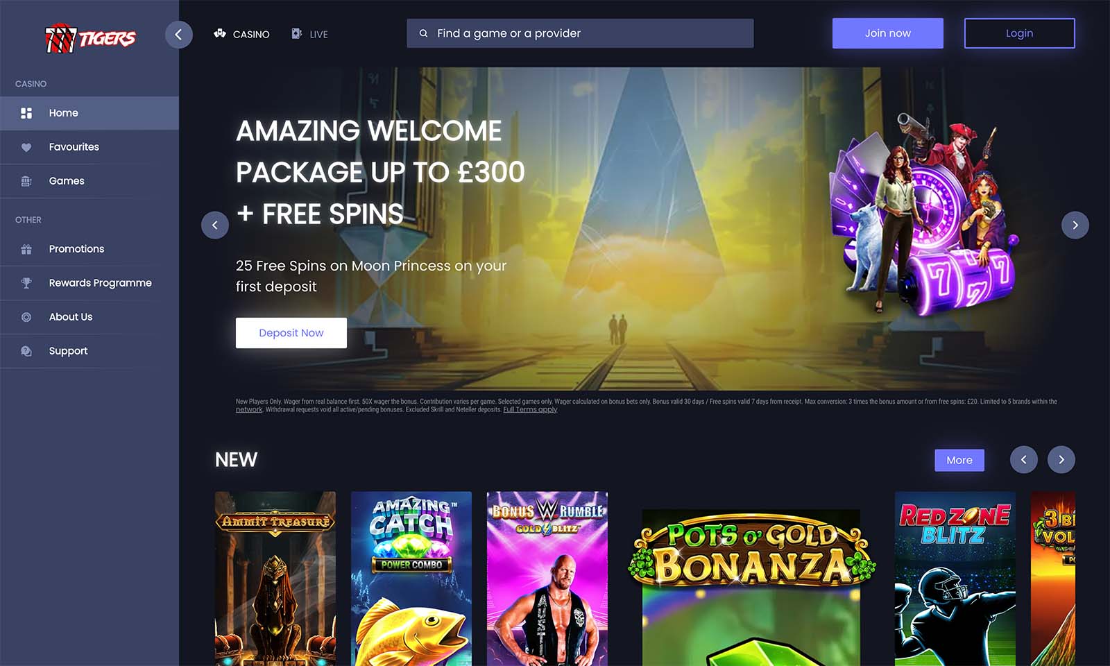 Homepage screenshot taken on 21 August 2024